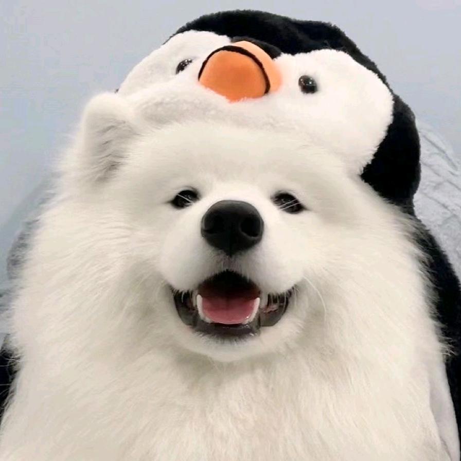 否雾