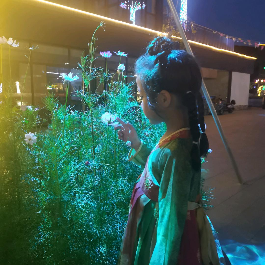 丽美
