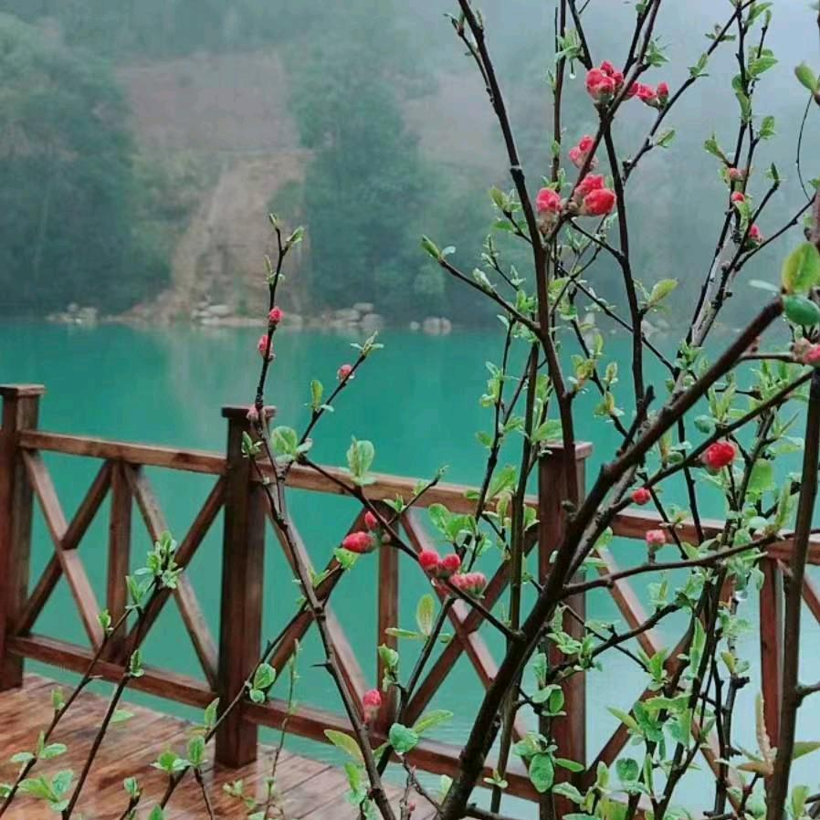 知足常乐