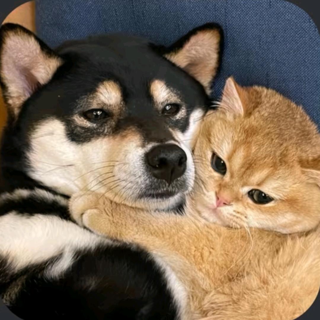 逾越