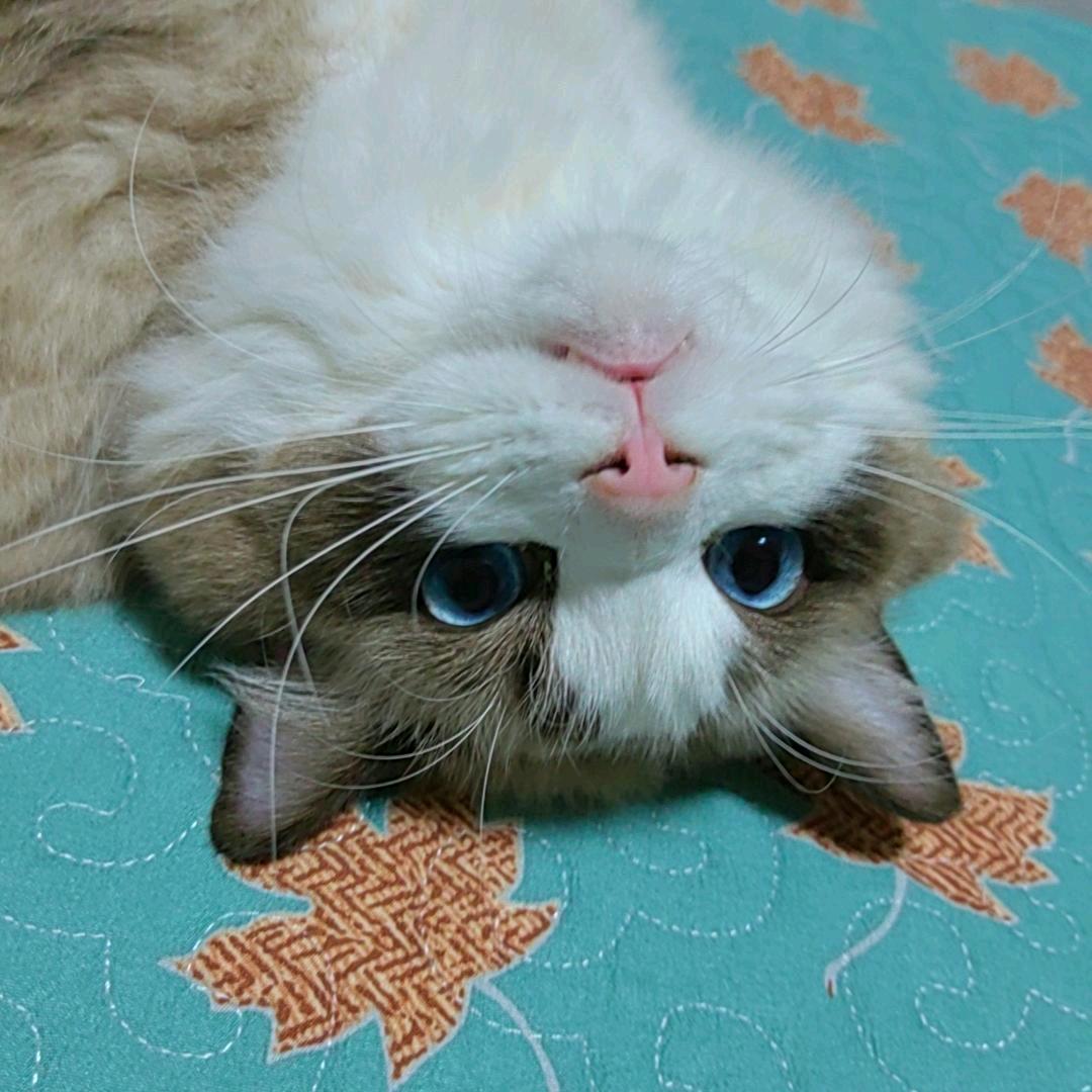 W·幸福就在身边