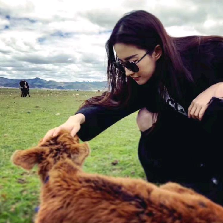 普普通通 半懂不懂