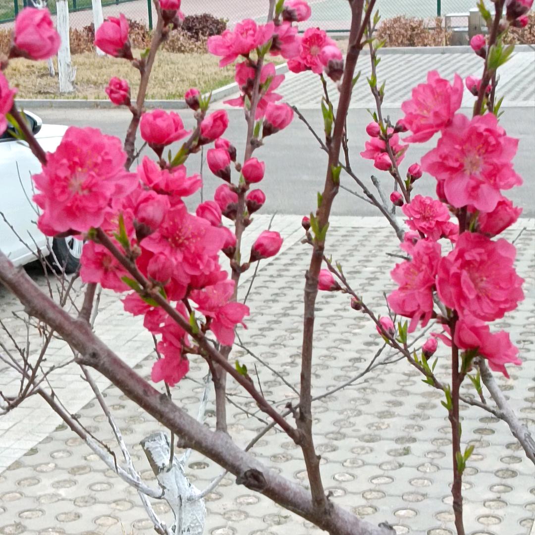幸福人生好物分享