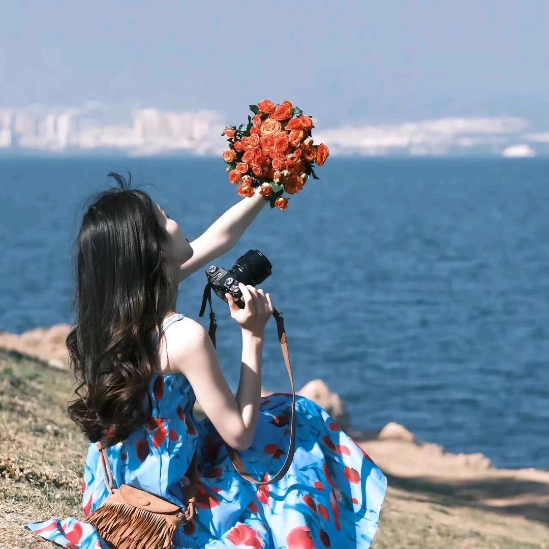 油貓餅