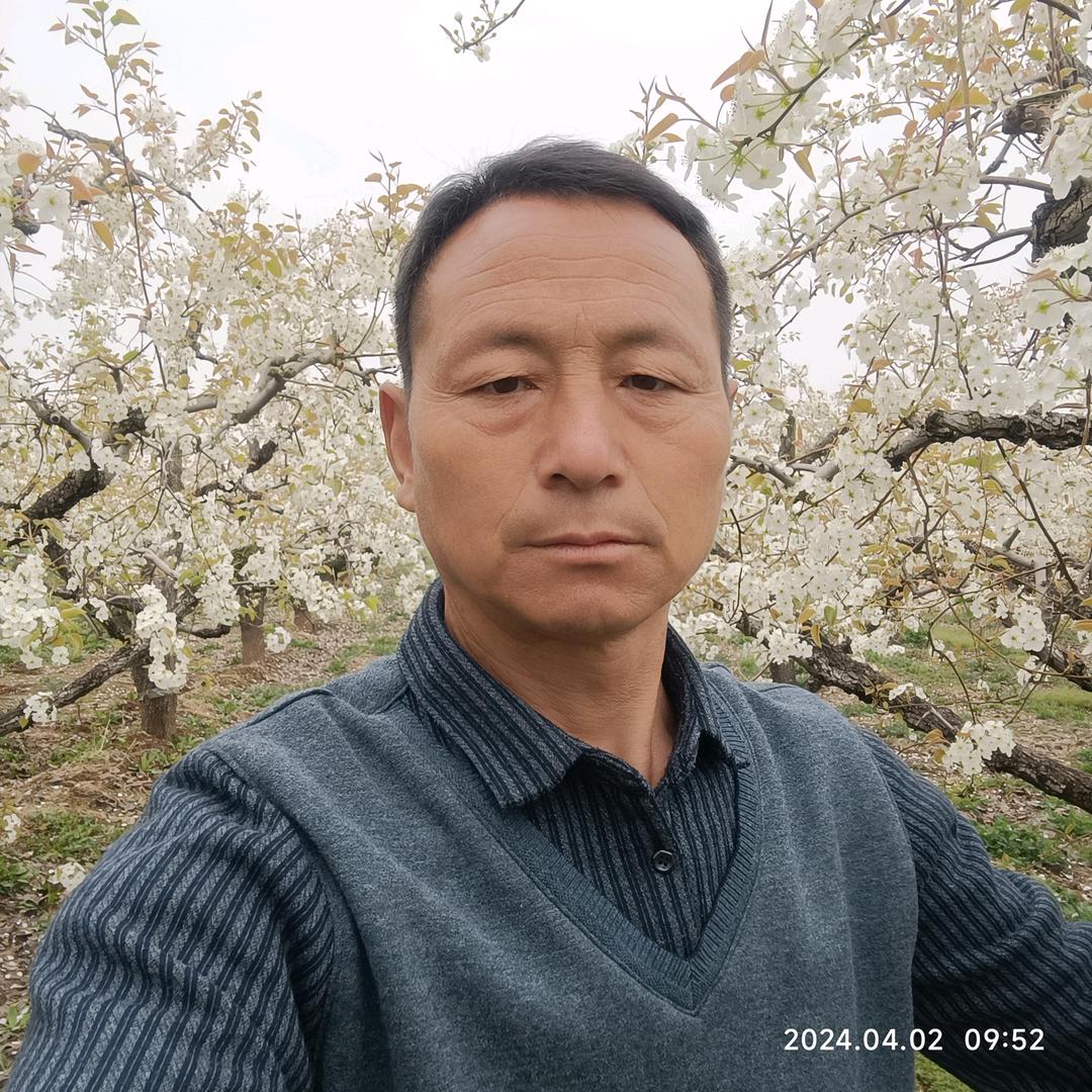 Y好久不见