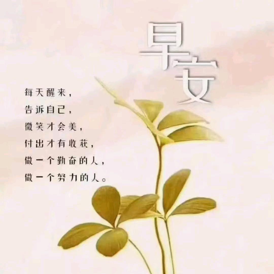 ঞ🍒兜兜꧔ꦿ᭄有米࿐ᩚ