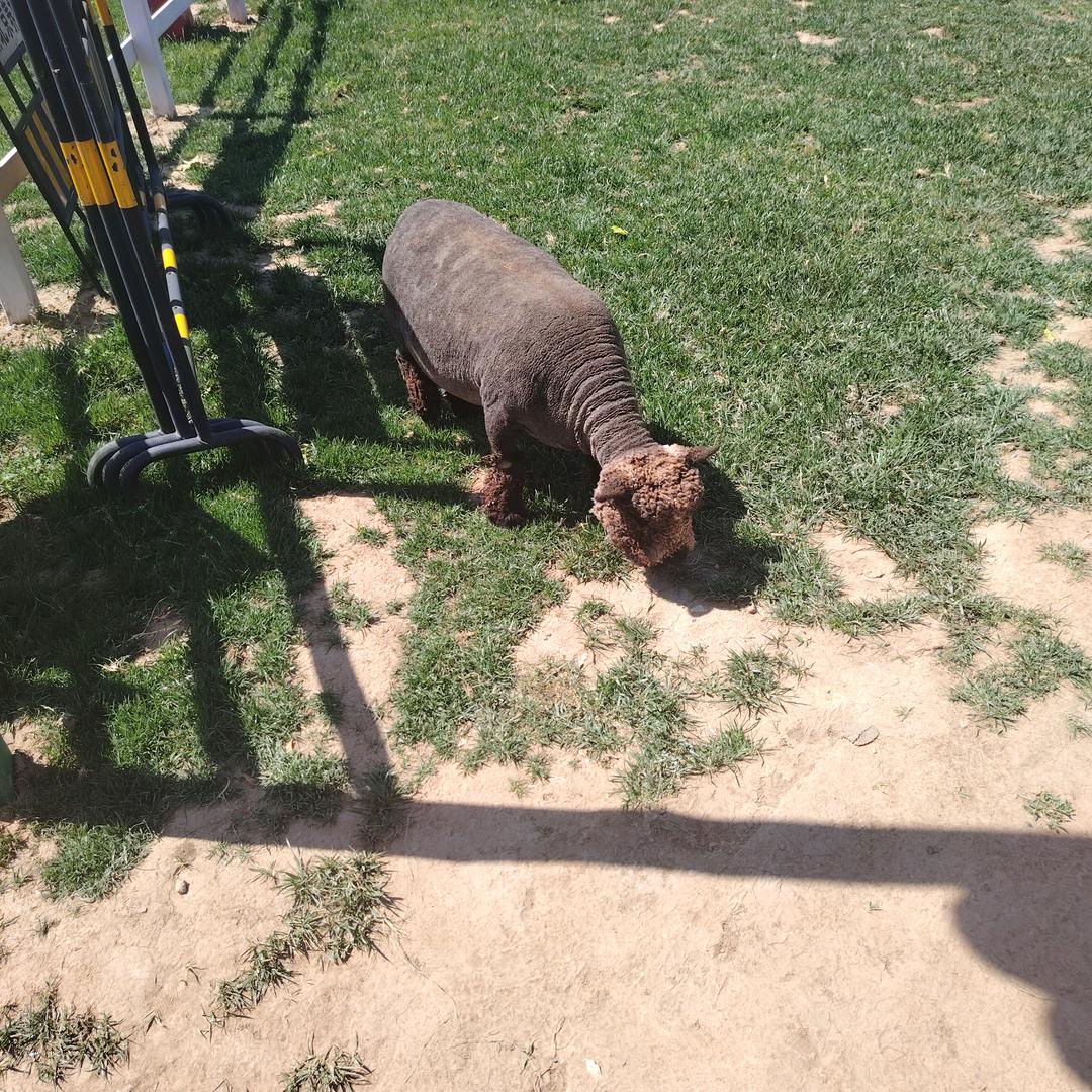 北京熊二科技文化创意屋