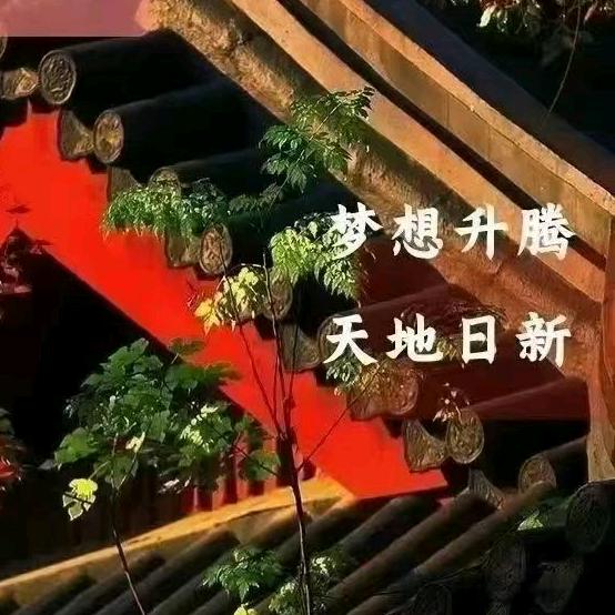 减肥不掉秤