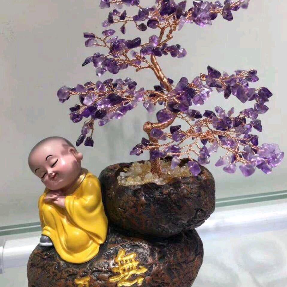 多乐💕