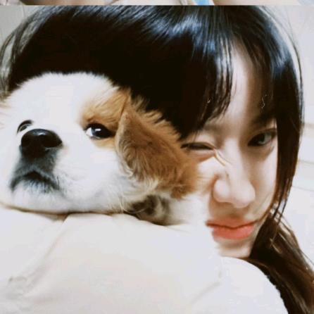hehei