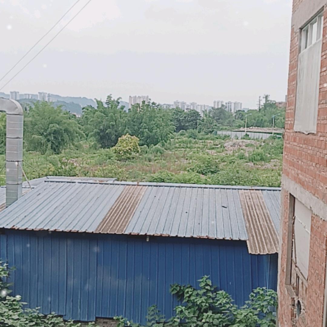 ╄→失呿の靑舂