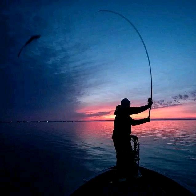 YG钓鱼🎣🐟🏕