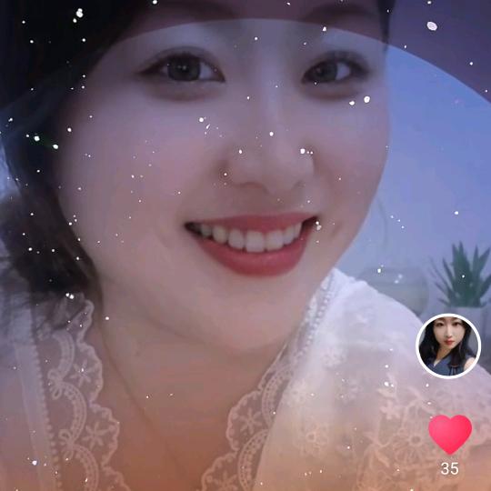 🌻向日葵🌻