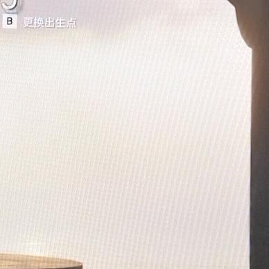 莲花夜