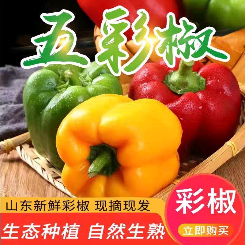 常小常果蔬庄园