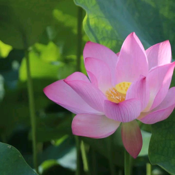 相识是缘份2