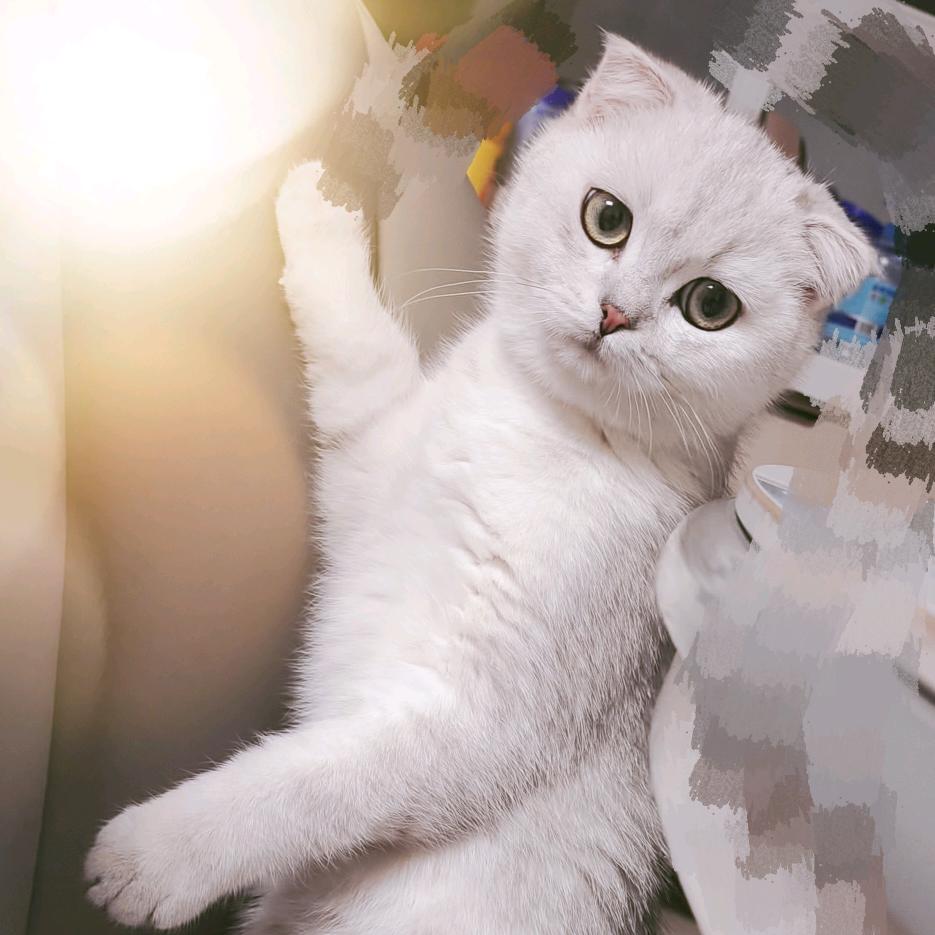 火铁木