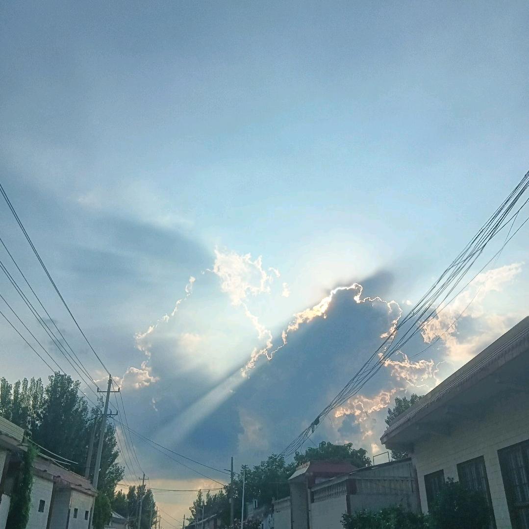 冬
