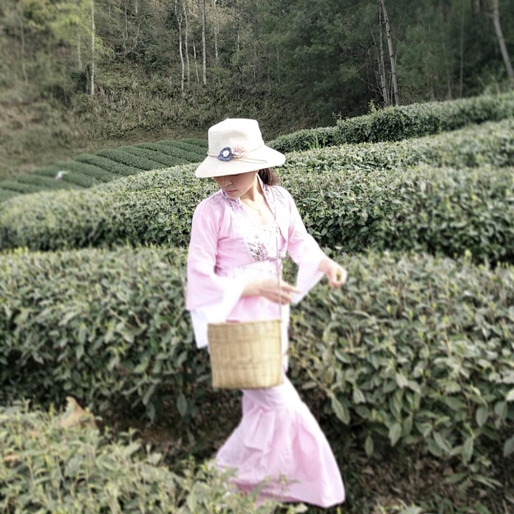 念蒽