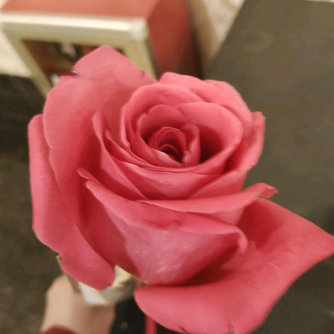 吃货的人深