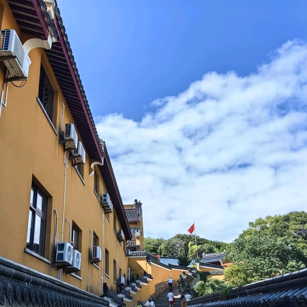 任庆虎