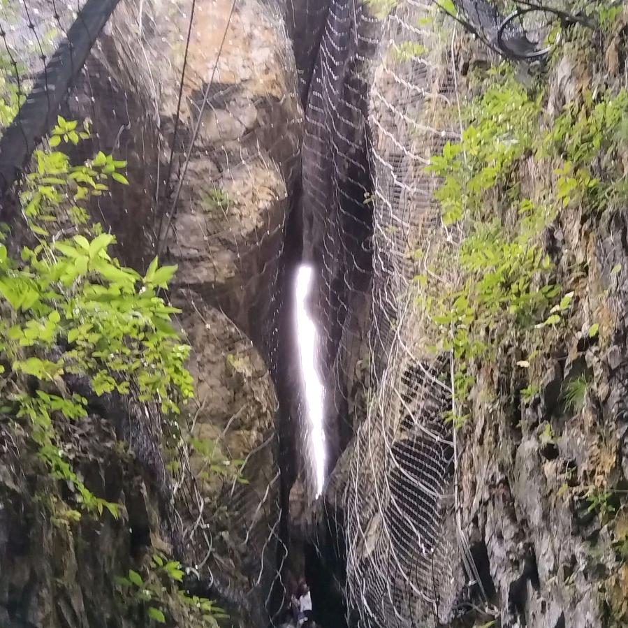 陪伴永久