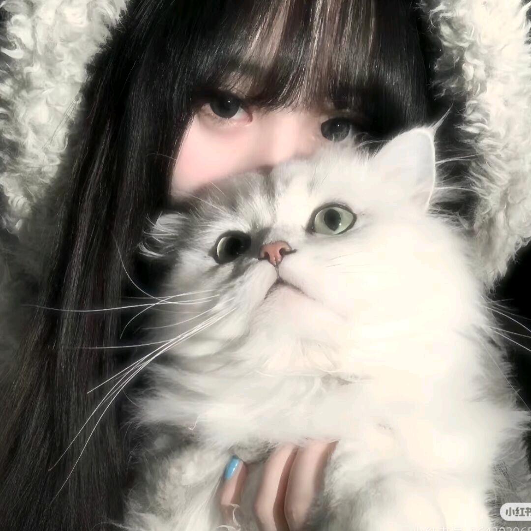 洛槿鸢🦊