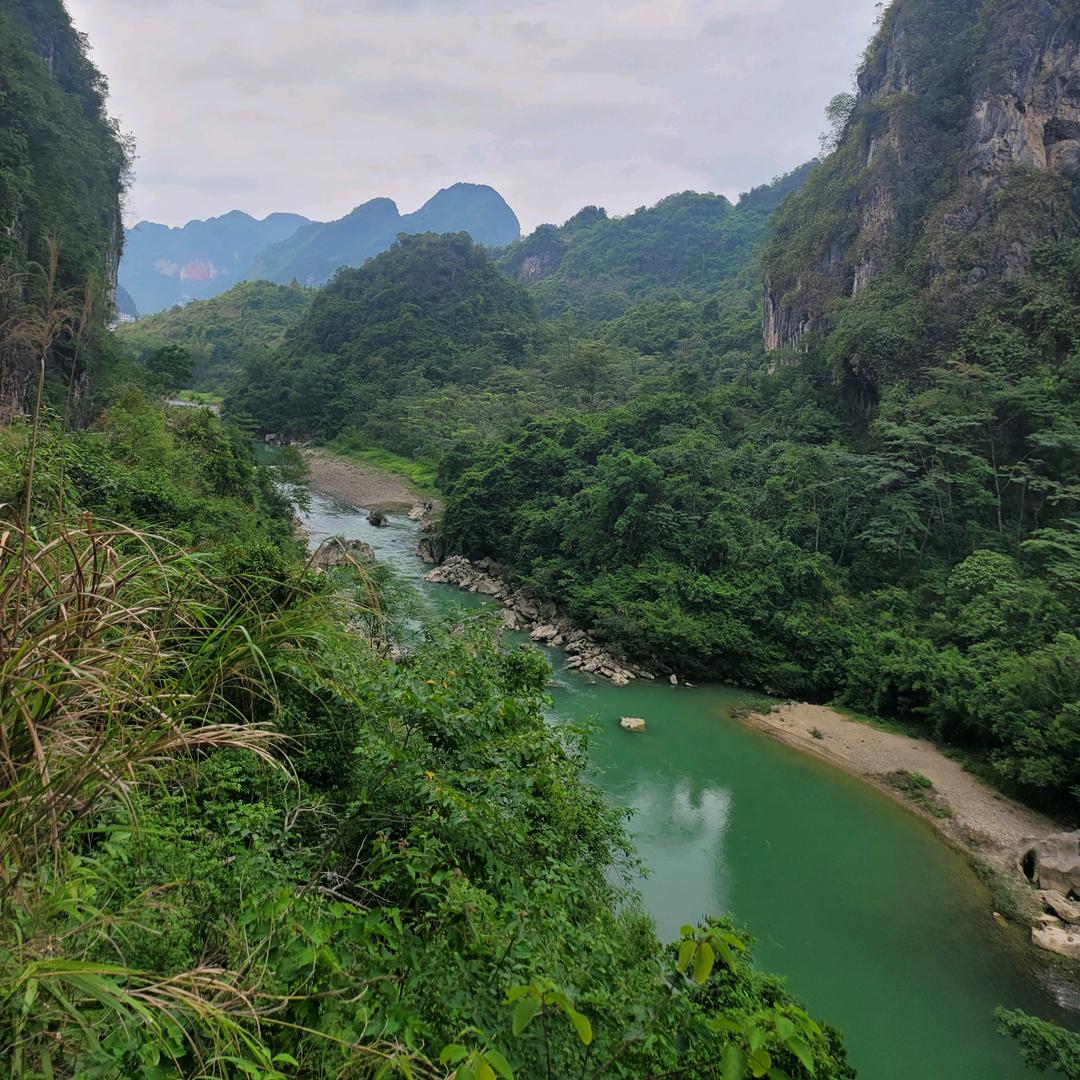 烟台大苹果