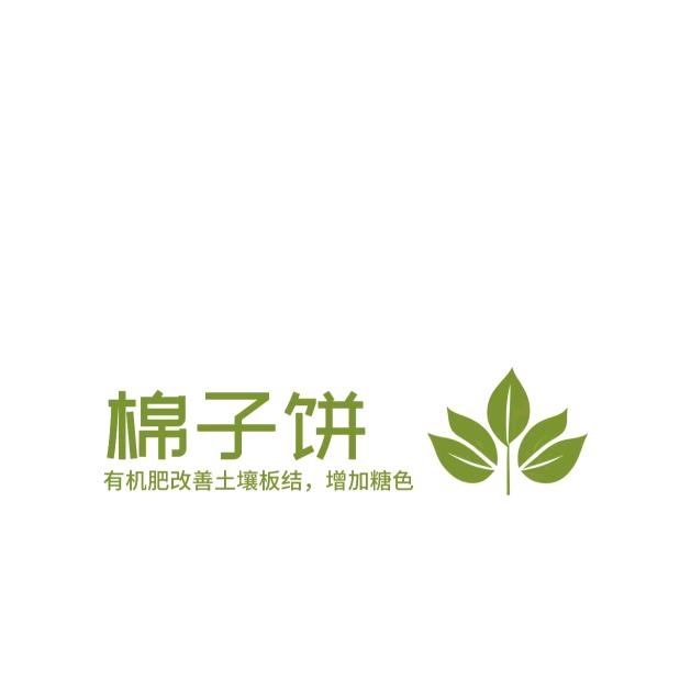 棉籽饼有机肥