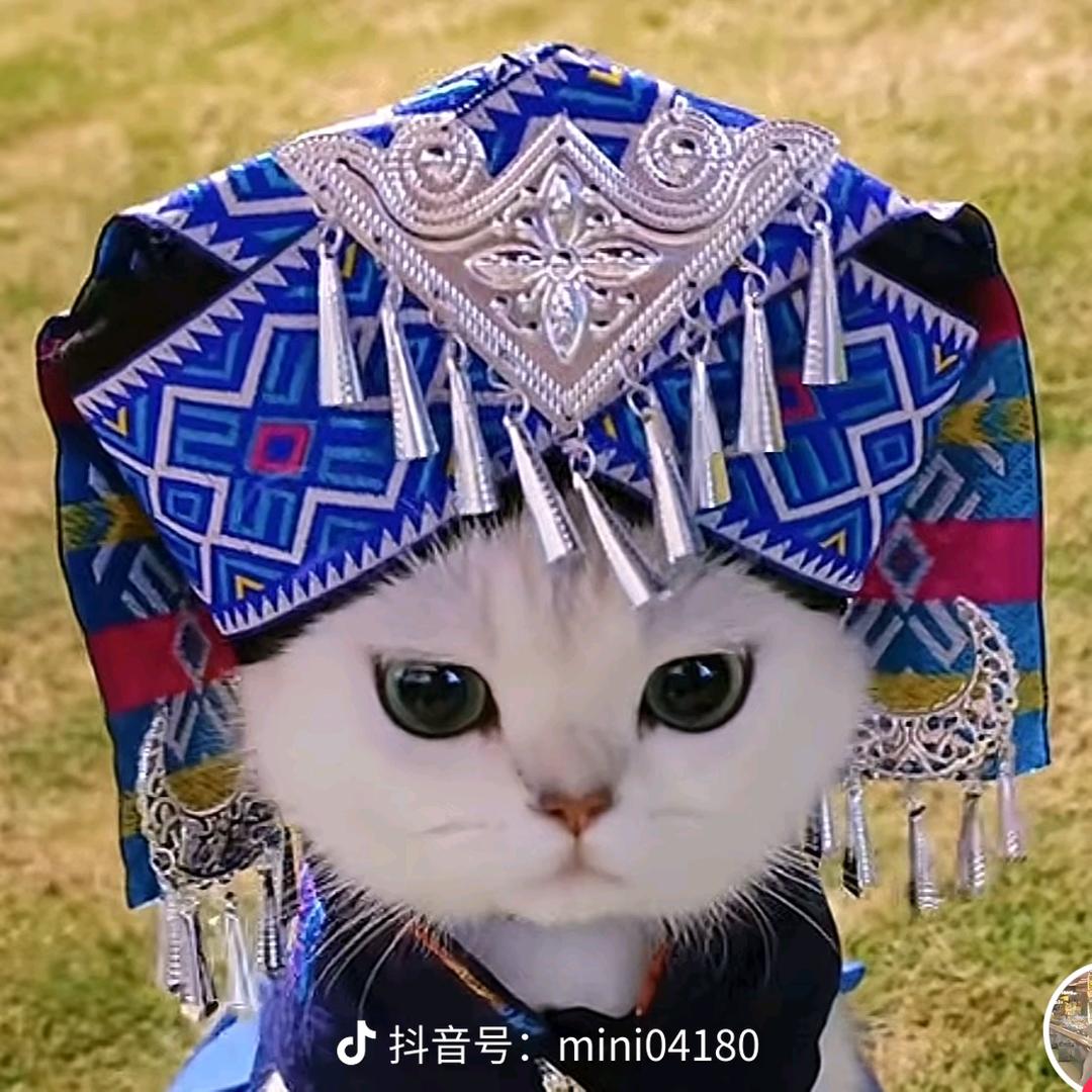 奥利亚