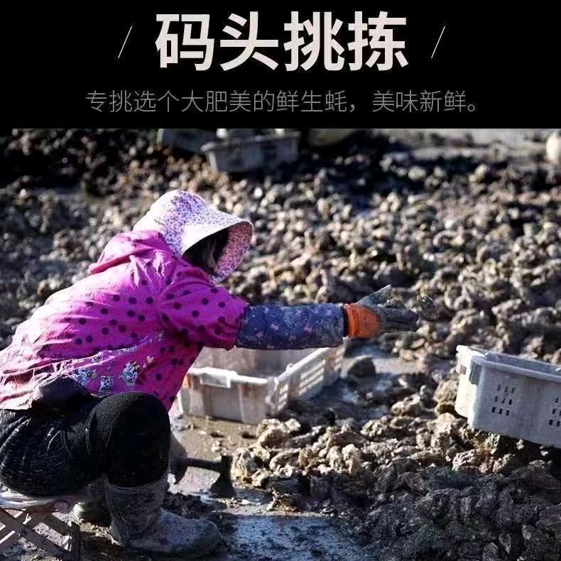 杨杨一家人生鲜