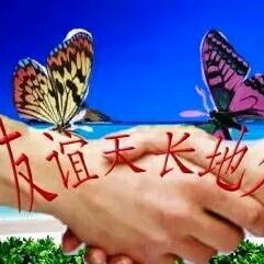 网上情人