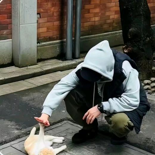 果冻_