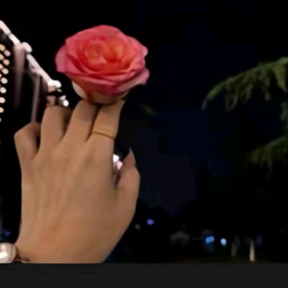 静静家🌹🌹🌹