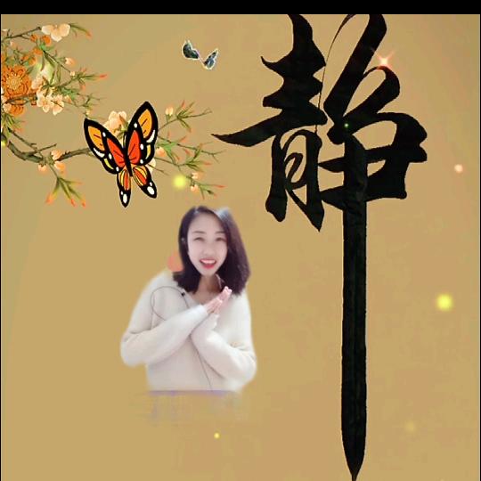 稳宝521