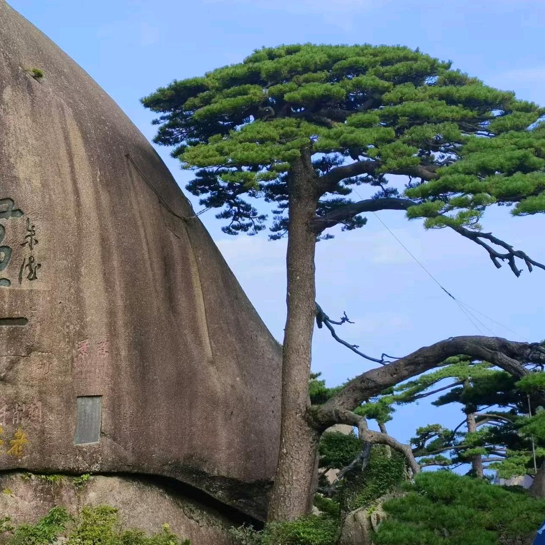 神秘人161616