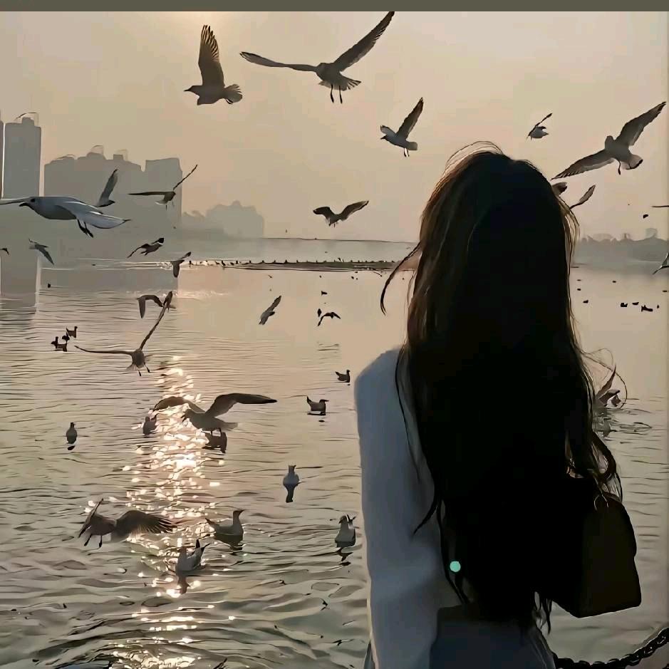 👉海尚未眠👈