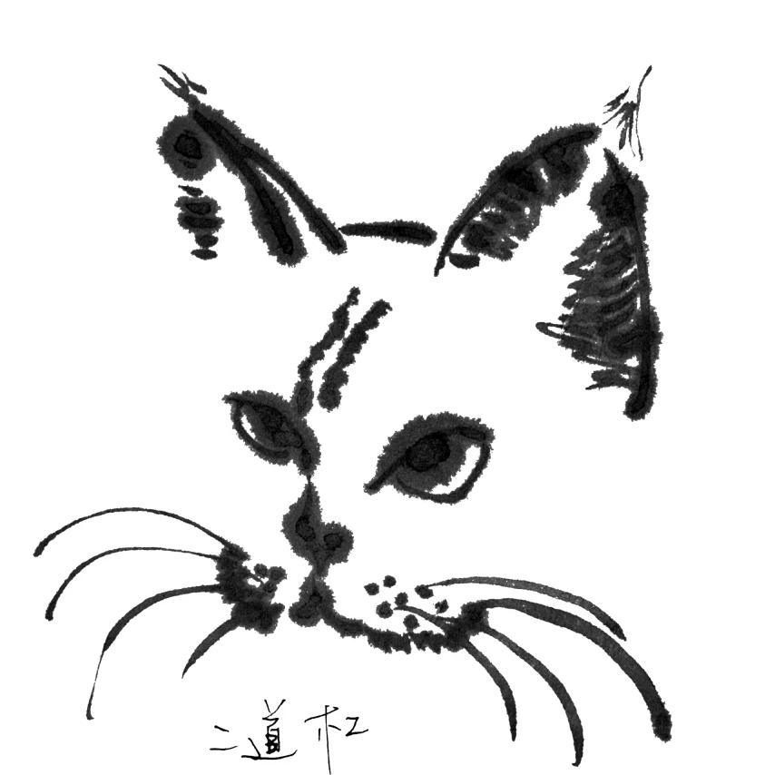 易週