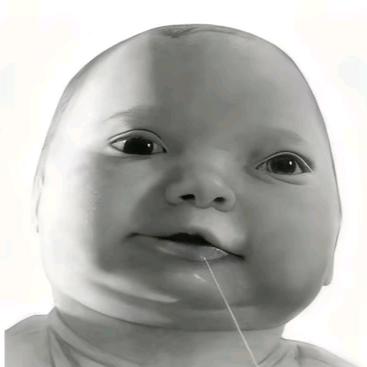 papa