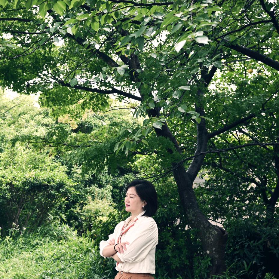 朵朵开