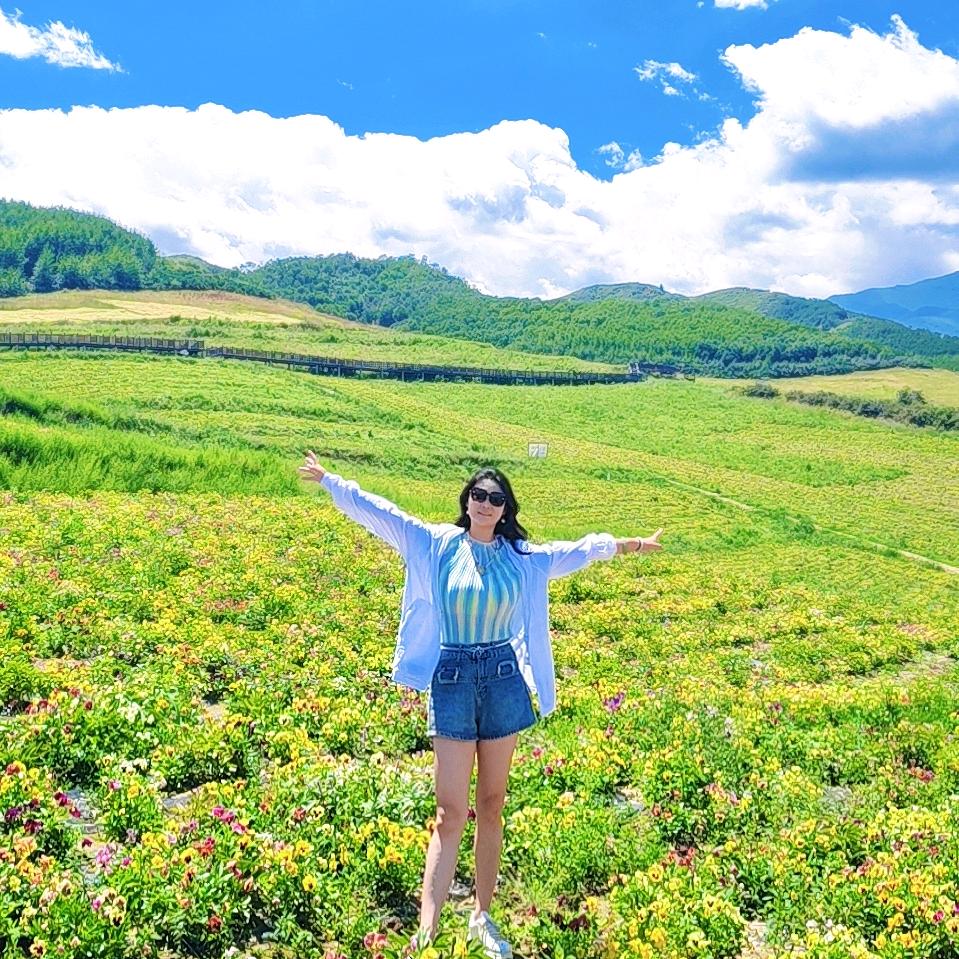 把梦放在梦里很安全🌸