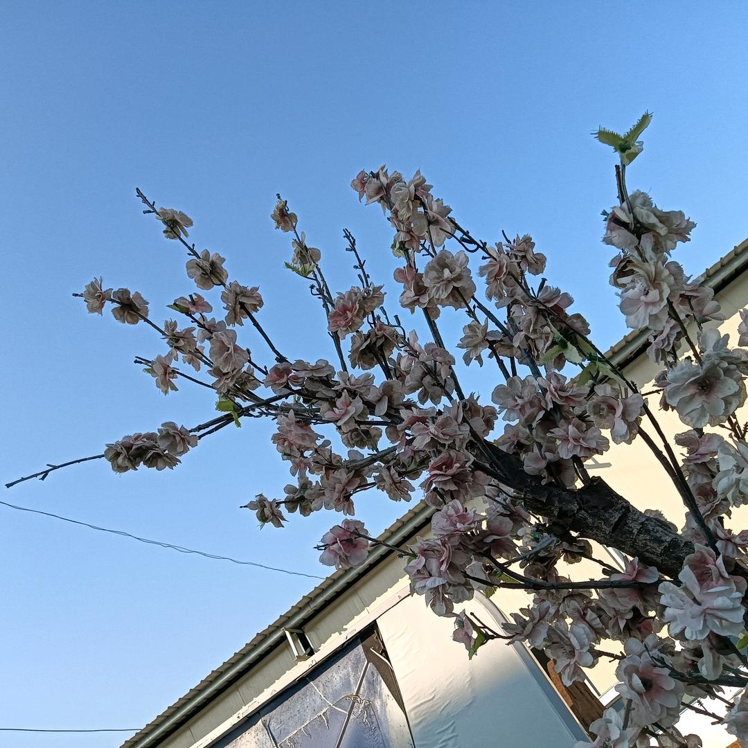 ᝰ
