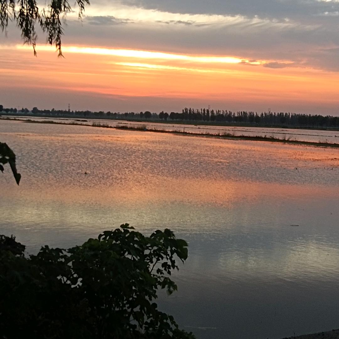 🥀⃟错把᭄敷衍ꦻ当承诺