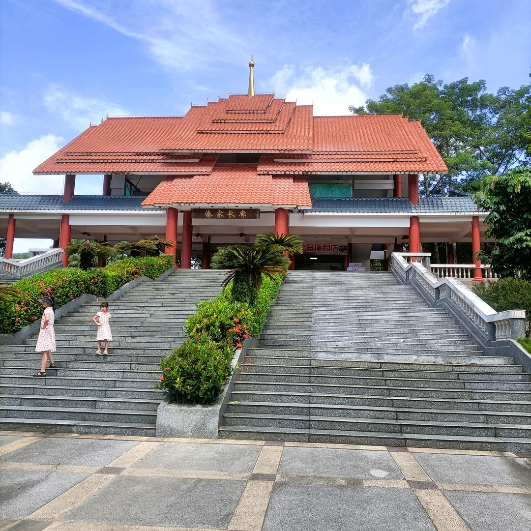 来来才