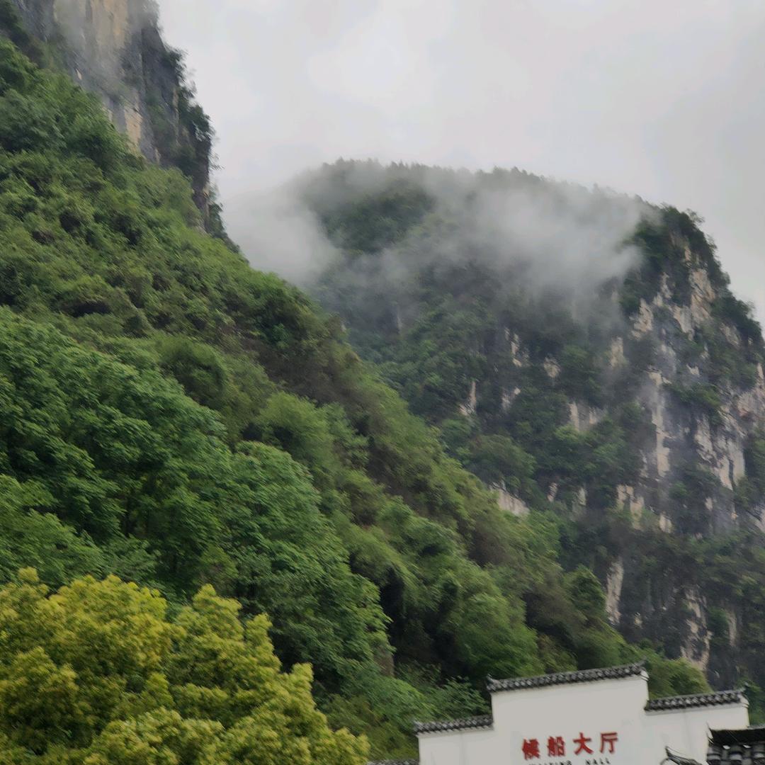 泗阳好美呀
