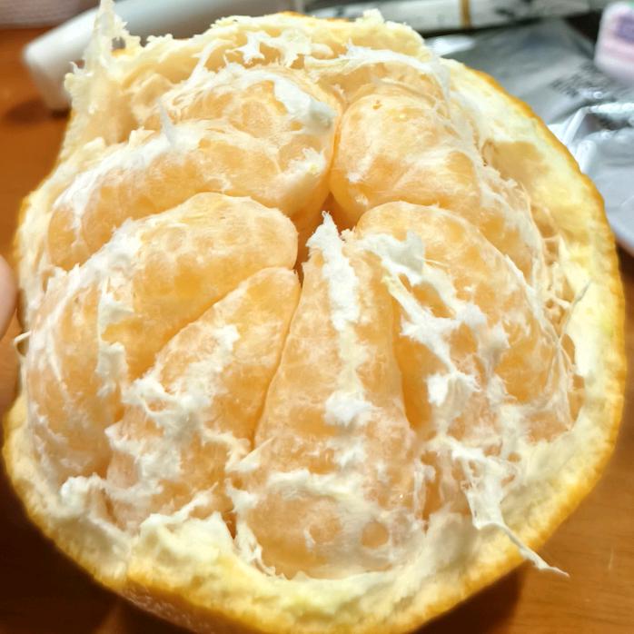 六十太奶在线暴打计算机