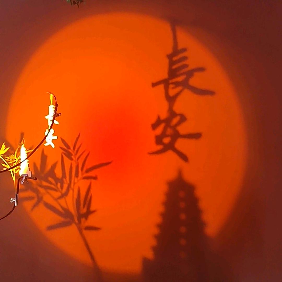 一口一个小泡芙