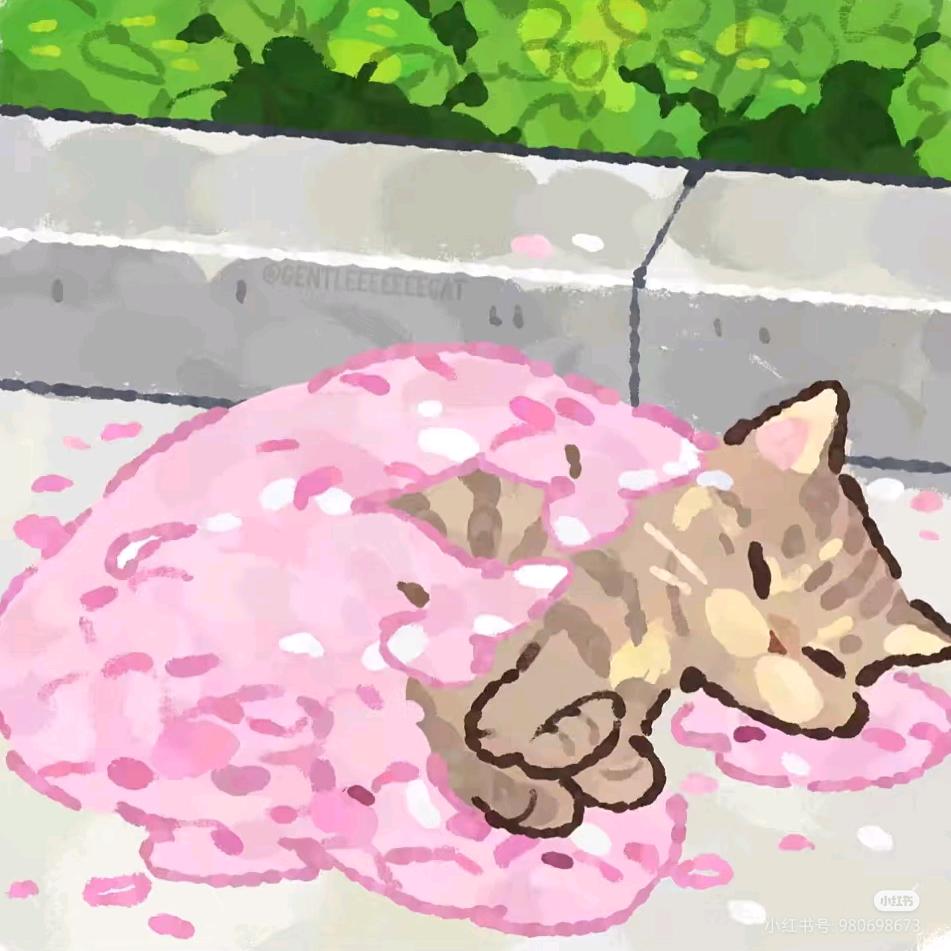 豆豆花