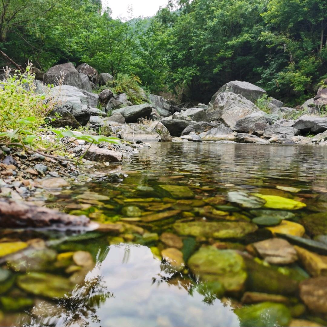 流逝的岁月