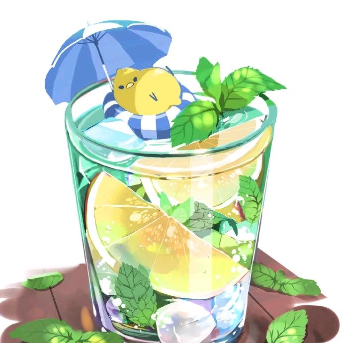 黛安诺护理